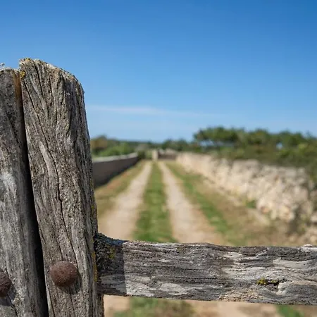 Finca Sant Jordi De Baix 빌라 *